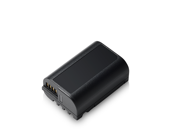 Photo of LUMIX Accessory DMW-BLK22PP