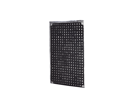 Photo de Purificateur d’air Filtre au charbon actif désodorisant pour F-VXRP90G & F-VXRP70G