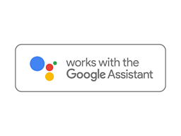Google Assistant