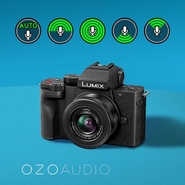 Camere LUMIX G DC-G100V - Panasonic România