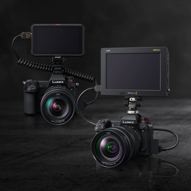 Lumix S Fotoğraf Makineleri DC-S1 - Panasonic Türkiye