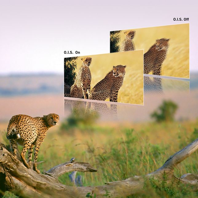 5-осевой ГИБРИД O.I.S.+