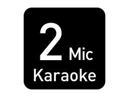 2 Karaoke mikrofonas