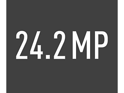 24.2 megapixels