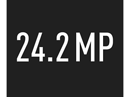 24,2&nbsp;Megapixel