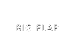 BIG FLAP