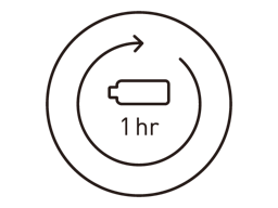 Ricarica completa della batteria in 1 ora