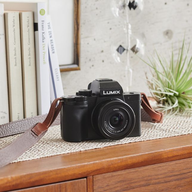 LUMIX G Series Mirrorless Cameras DC-G100DVGAK - Panasonic Singapore