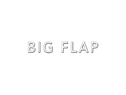 BIG FLAP