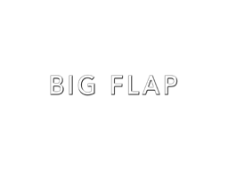BIG FLAP
