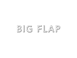 BIG FLAP