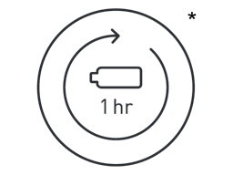 1 hour full charge