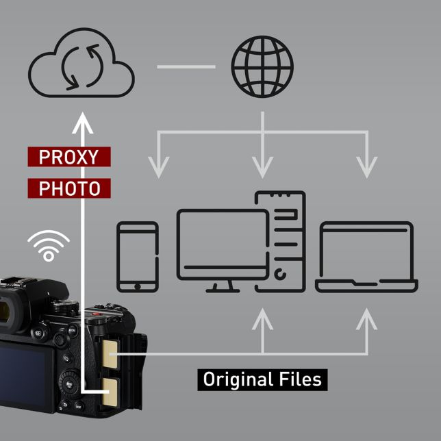 Natív Camera to Cloud integráció az Adobe Frame.io technolóiájával