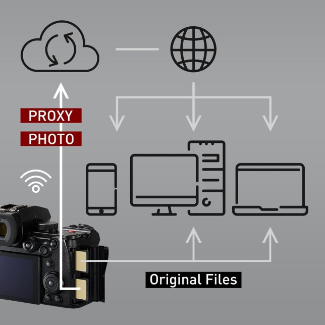 Natív Camera to Cloud integráció az Adobe Frame.io technolóiájával