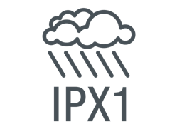 IPV1