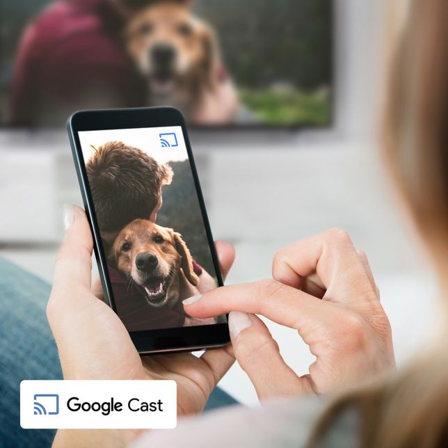 Stream fra din telefon