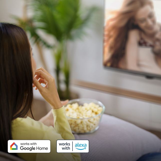 Működik a Google Home / Alexa szolgáltatással