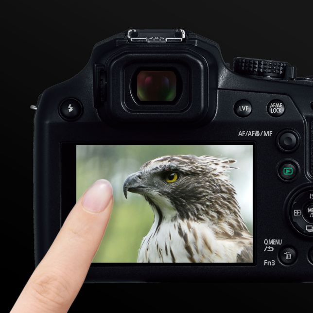Camere foto tip Bridge DC-FZ82D - Panasonic România