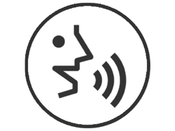 Voice Assistant -aktivointi