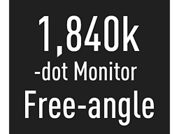 Schwenkbarer Monitor mit 1,24&nbsp;Mio. Bildpunkten