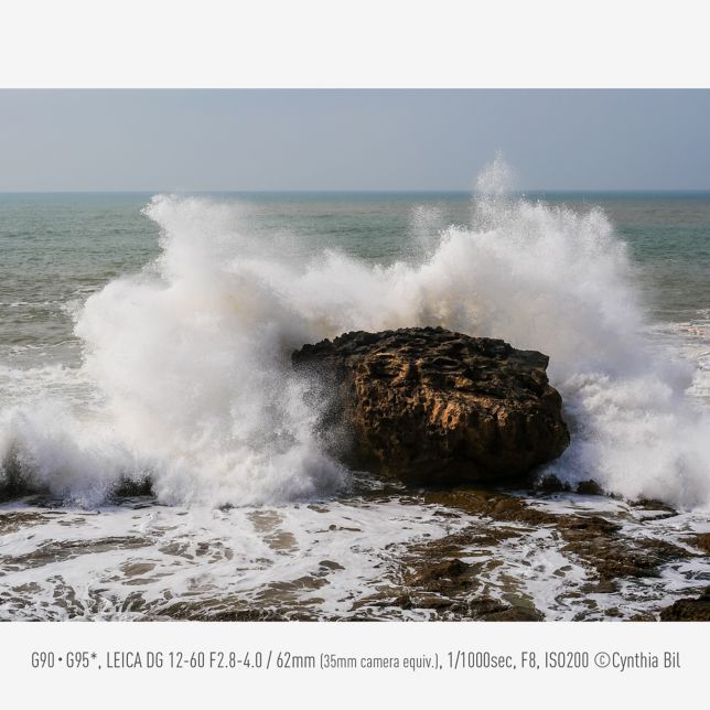 Απόδοση βίντεο που ανταποκρίνεται σε όλες τις ανάγκες