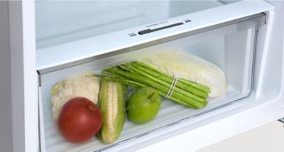 269L 2-Door Inverter Top Freezer Refrigerator NR-TC300BUK