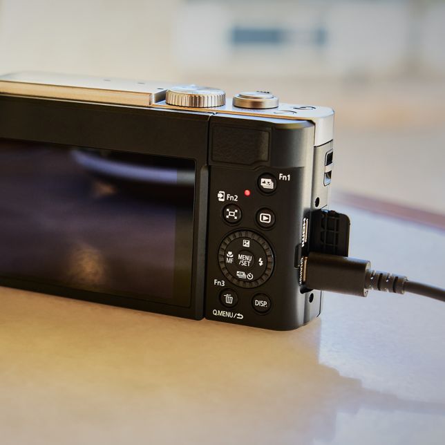 LUMIX　DC-TZ99 Compact Zoom Camera DC-TZ99GA - Panasonic Singapore