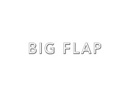 BIG FLAP