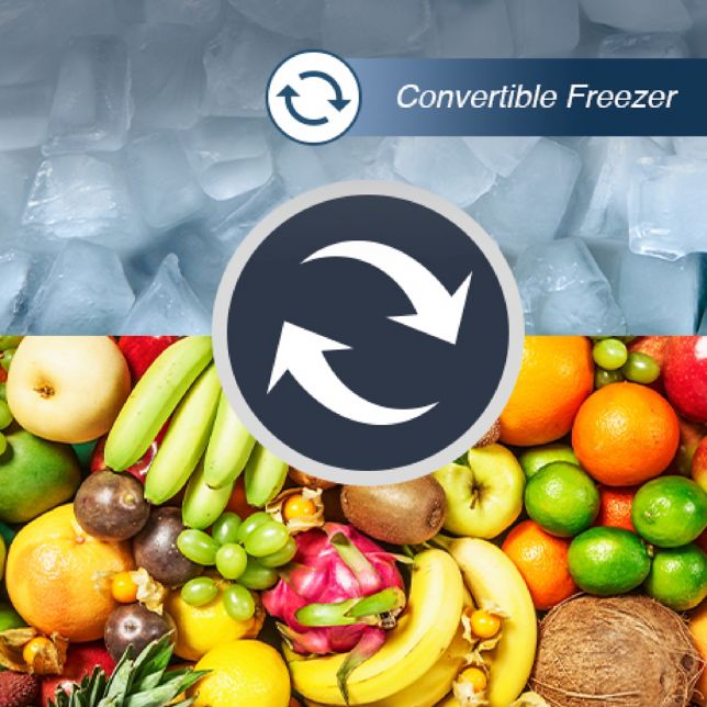 Convertible Freezer