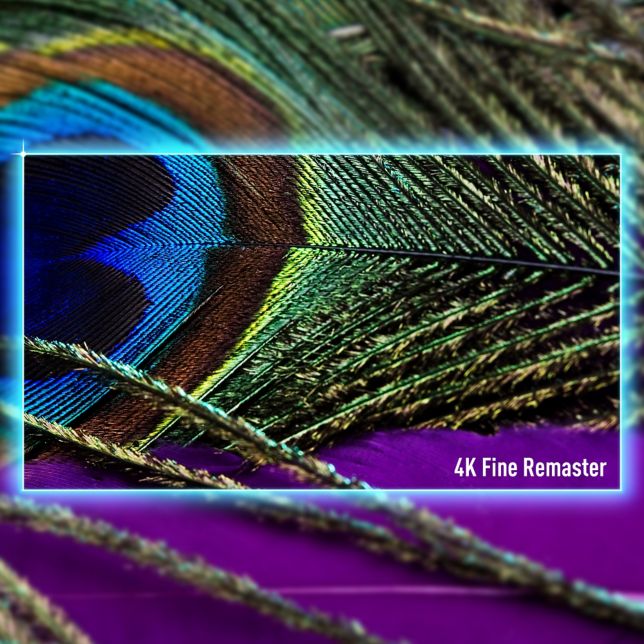 „4K Fine Remaster“ didesnei raiškai