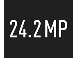 24.2 megapixels