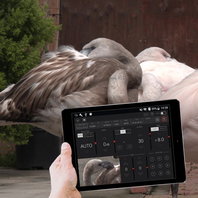 Беспроводное управление с планшета или смартфона