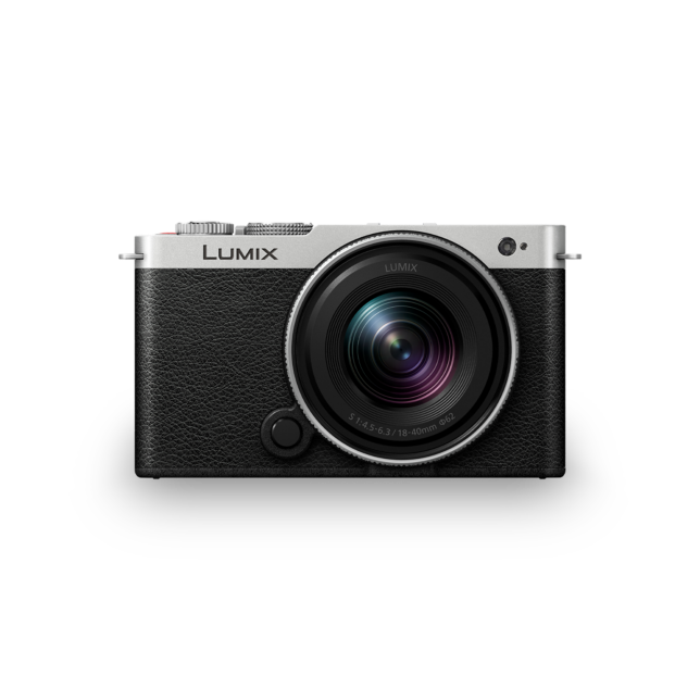 Negru și argintiu (lentile argintii)