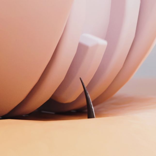 Panasonic ES-EYL3AV503 ast 3014840 1?fmt=jpeg&wid=644&hei=644