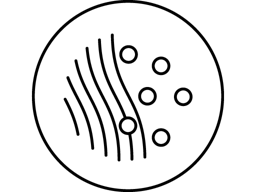 Biểu tượng Ion