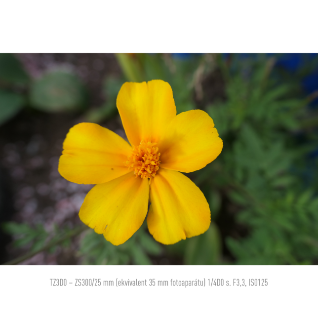 Panasonic DC-TZ300E-S ast 3226801?fmt=png alpha&wid=644&hei=644