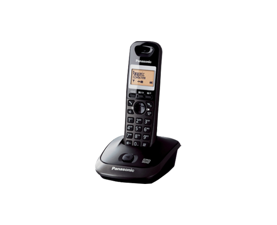 Foto di KX-TG2521 Telefono cordless DECT