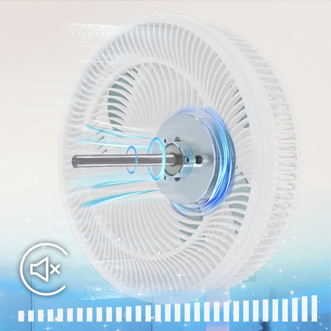 DC Motor