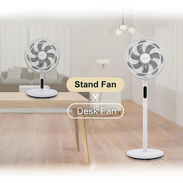2-in-1 Electric Fan