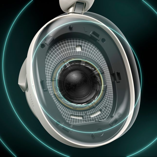 Illustration of the Baffle Flat Structure designed to suppress unwanted sound reflections around the driver.