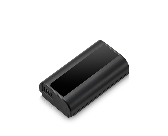 Photo of LUMIX Accessory DMW-BLJ31