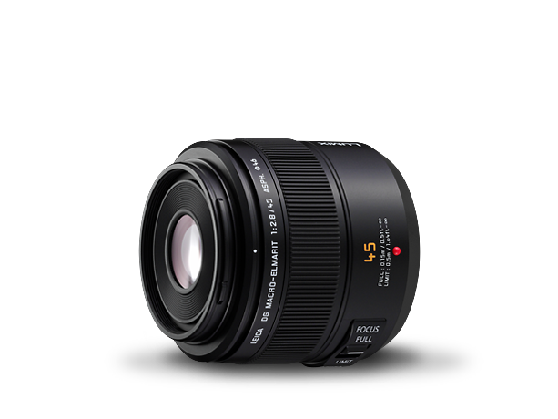 Camere LUMIX G DC-G100DV - Panasonic România